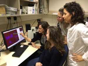 The Selig group looking at an image of chromosomes hybridized with a telomeric probe